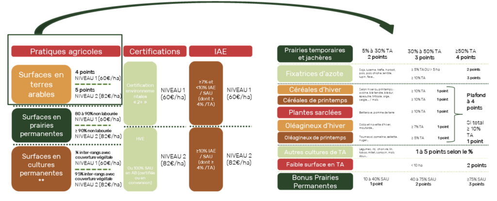 Tableau d'attribution des points PAC